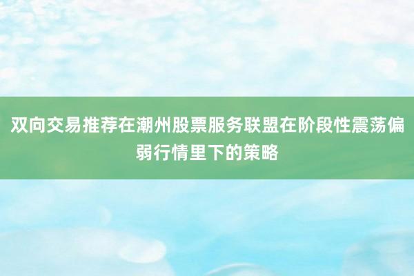 双向交易推荐在潮州股票服务联盟在阶段性震荡偏弱行情里下的策略