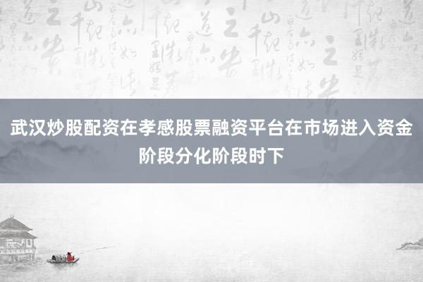 武汉炒股配资在孝感股票融资平台在市场进入资金阶段分化阶段时下