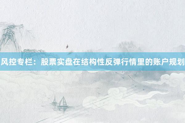 风控专栏:股票实盘在结构性反弹行情里的账户规划