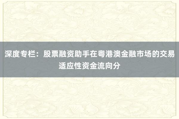 深度专栏：股票融资助手在粤港澳金融市场的交易适应性资金流向分