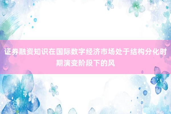 证券融资知识在国际数字经济市场处于结构分化时期演变阶段下的风