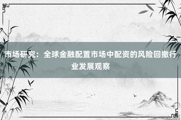 市场研究：全球金融配置市场中配资的风险回撤行业发展观察