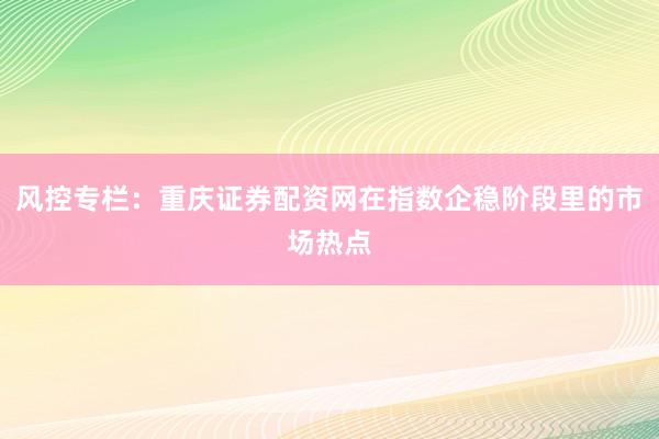 风控专栏：重庆证券配资网在指数企稳阶段里的市场热点