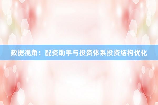 数据视角:配资助手与投资体系投资结构优化