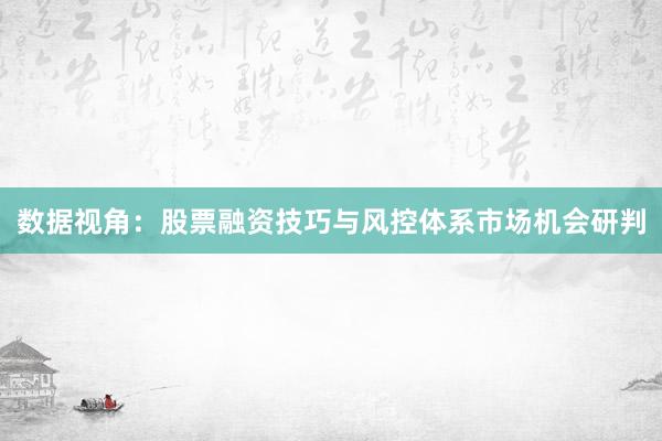 数据视角:股票融资技巧与风控体系市场机会研判
