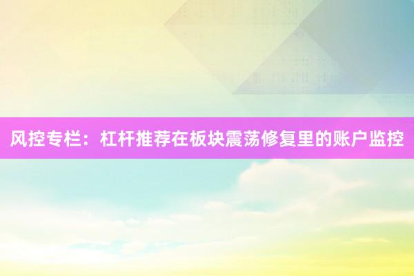 风控专栏：杠杆推荐在板块震荡修复里的账户监控
