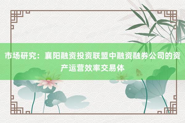 市场研究：襄阳融资投资联盟中融资融券公司的资产运营效率交易体