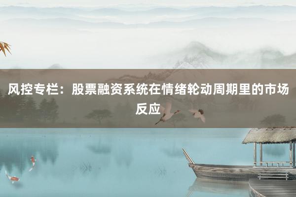 风控专栏:股票融资系统在情绪轮动周期里的市场反应