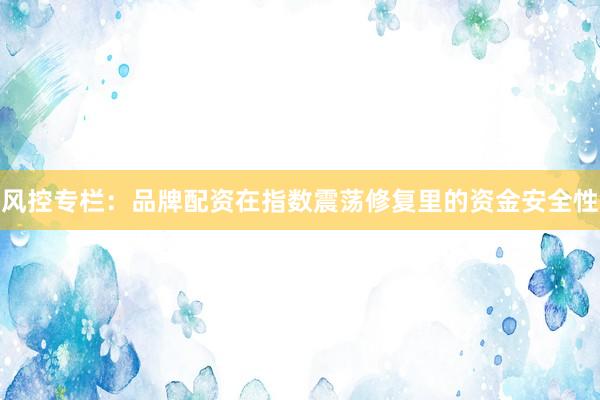 风控专栏:品牌配资在指数震荡修复里的资金安全性
