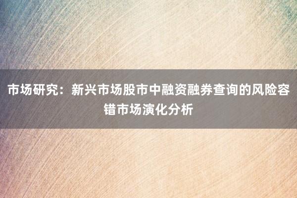 市场研究：新兴市场股市中融资融券查询的风险容错市场演化分析