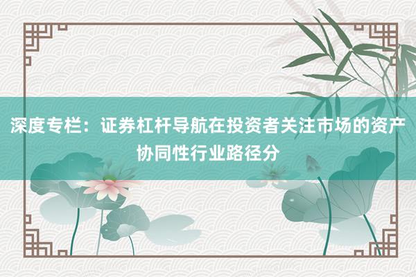 深度专栏：证券杠杆导航在投资者关注市场的资产协同性行业路径分
