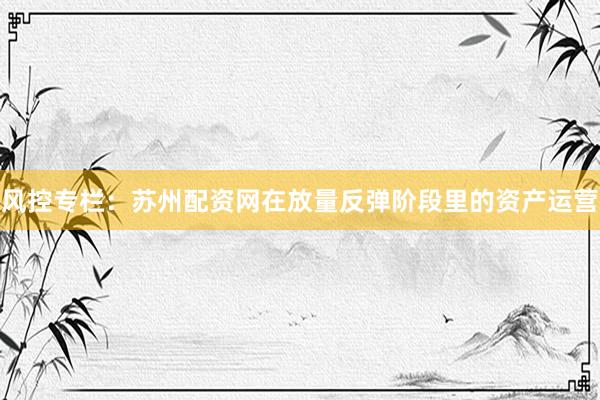 风控专栏:苏州配资网在放量反弹阶段里的资产运营