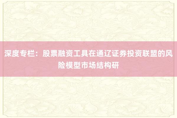 深度专栏：股票融资工具在通辽证券投资联盟的风险模型市场结构研