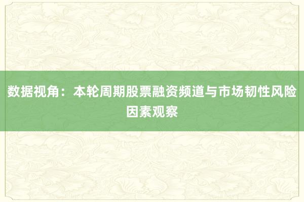 数据视角：本轮周期股票融资频道与市场韧性风险因素观察