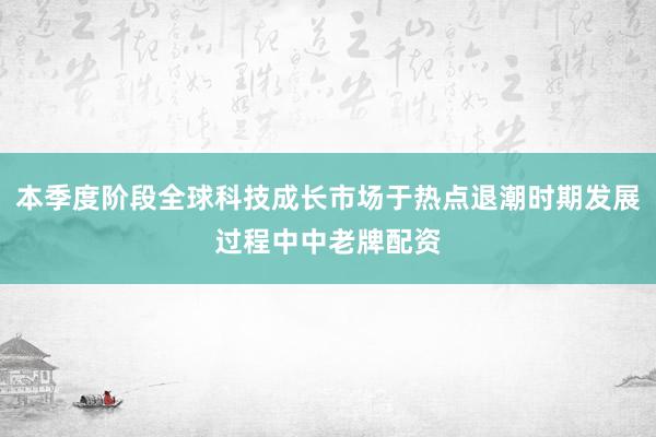 本季度阶段全球科技成长市场于热点退潮时期发展过程中中老牌配资