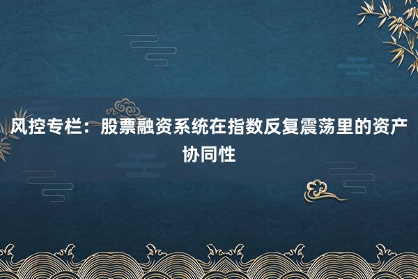 风控专栏：股票融资系统在指数反复震荡里的资产协同性