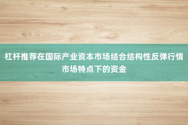 杠杆推荐在国际产业资本市场结合结构性反弹行情市场特点下的资金