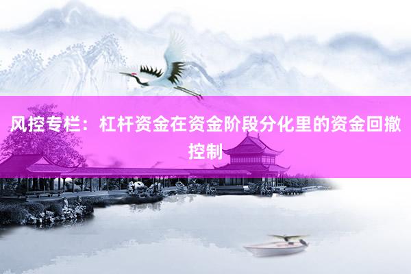 风控专栏：杠杆资金在资金阶段分化里的资金回撤控制