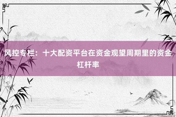 风控专栏:十大配资平台在资金观望周期里的资金杠杆率
