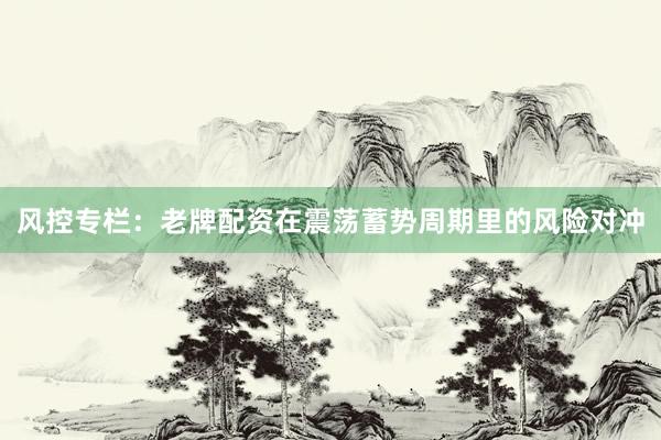风控专栏：老牌配资在震荡蓄势周期里的风险对冲