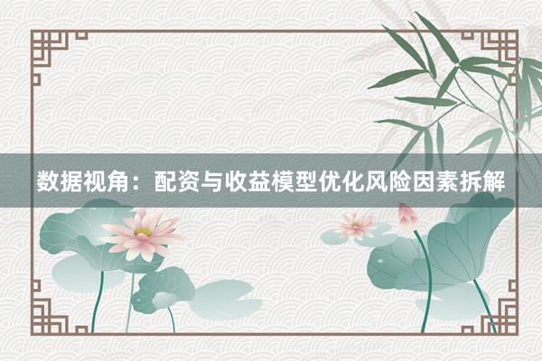 数据视角：配资与收益模型优化风险因素拆解