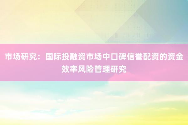 市场研究：国际投融资市场中口碑信誉配资的资金效率风险管理研究