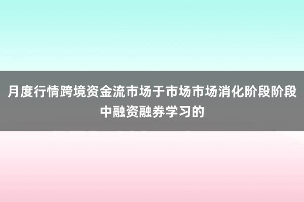 月度行情跨境资金流市场于市场市场消化阶段阶段中融资融券学习的