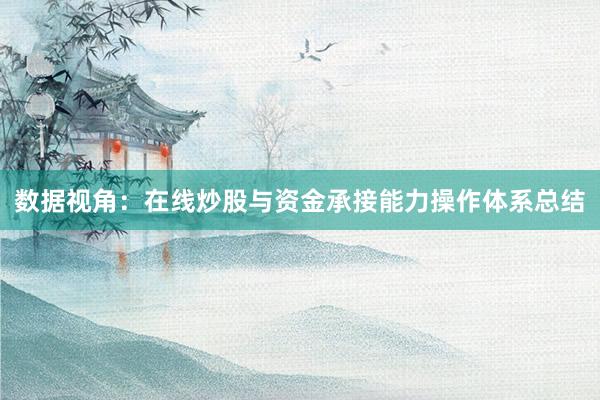 数据视角：在线炒股与资金承接能力操作体系总结