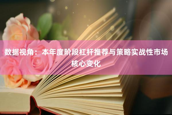 数据视角：本年度阶段杠杆推荐与策略实战性市场核心变化