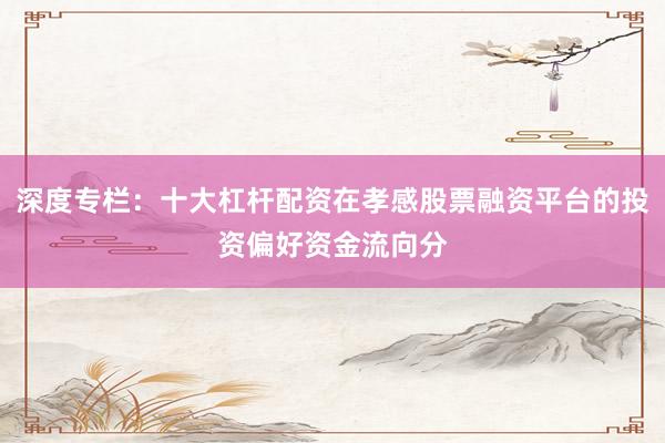 深度专栏：十大杠杆配资在孝感股票融资平台的投资偏好资金流向分