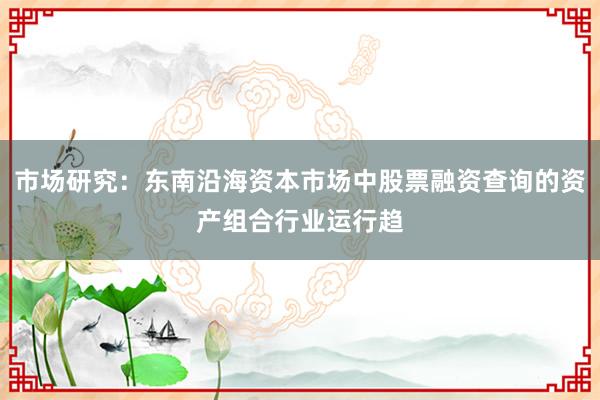 市场研究:东南沿海资本市场中股票融资查询的资产组合行业运行趋