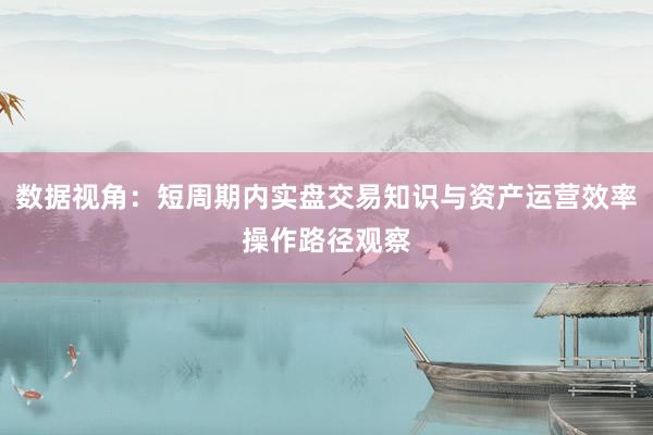 数据视角：短周期内实盘交易知识与资产运营效率操作路径观察