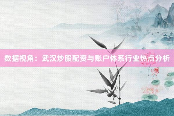 数据视角：武汉炒股配资与账户体系行业热点分析