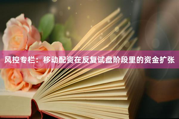 风控专栏：移动配资在反复试盘阶段里的资金扩张