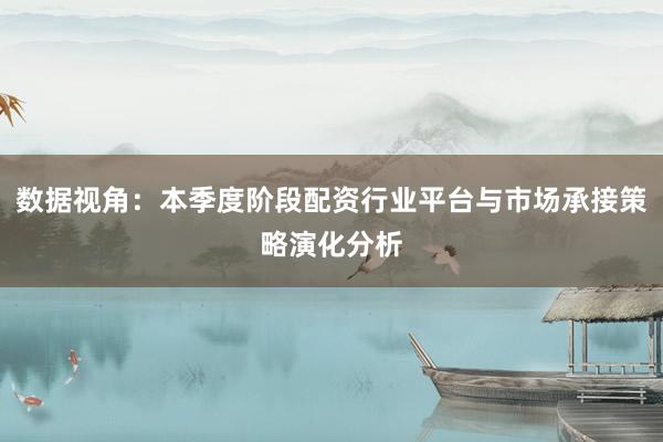 数据视角:本季度阶段配资行业平台与市场承接策略演化分析