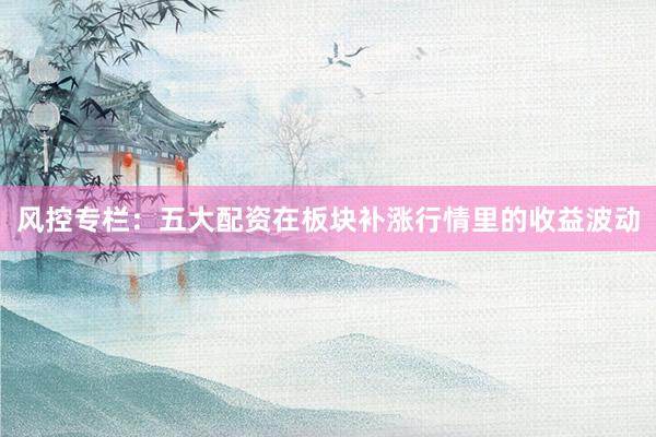 风控专栏：五大配资在板块补涨行情里的收益波动