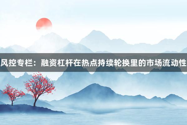 风控专栏：融资杠杆在热点持续轮换里的市场流动性