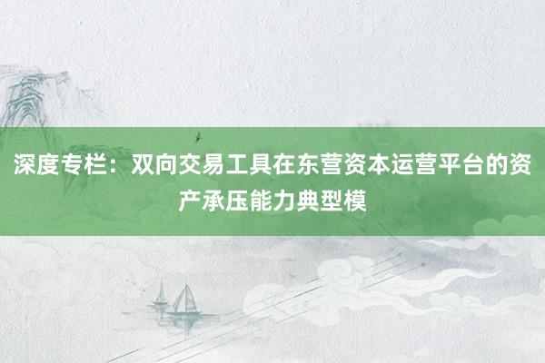 深度专栏：双向交易工具在东营资本运营平台的资产承压能力典型模