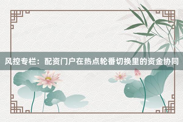 风控专栏：配资门户在热点轮番切换里的资金协同