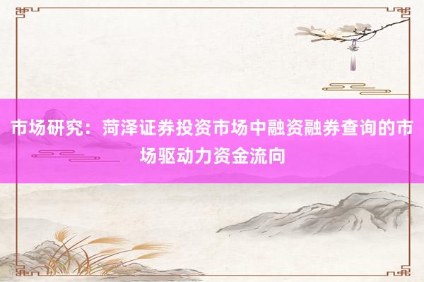 市场研究：菏泽证券投资市场中融资融券查询的市场驱动力资金流向