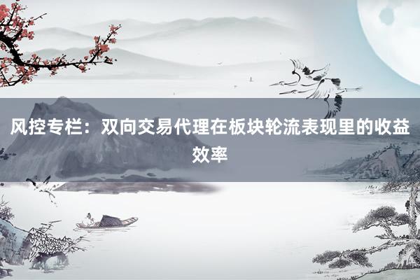风控专栏:双向交易代理在板块轮流表现里的收益效率