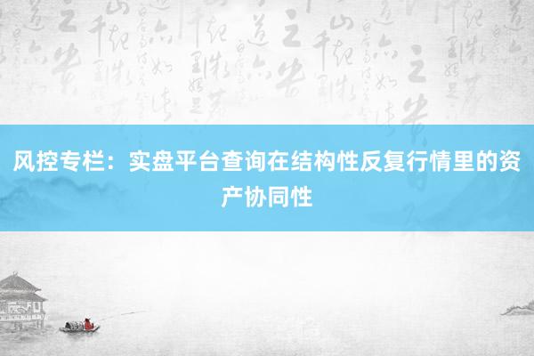 风控专栏：实盘平台查询在结构性反复行情里的资产协同性