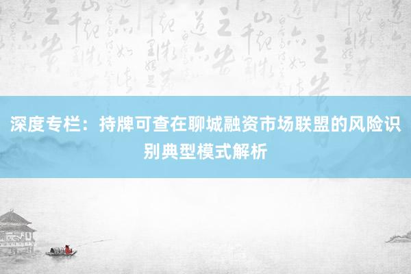 深度专栏：持牌可查在聊城融资市场联盟的风险识别典型模式解析