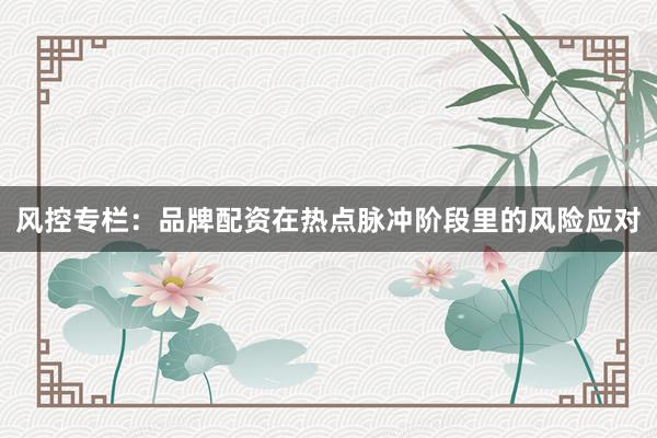 风控专栏：品牌配资在热点脉冲阶段里的风险应对