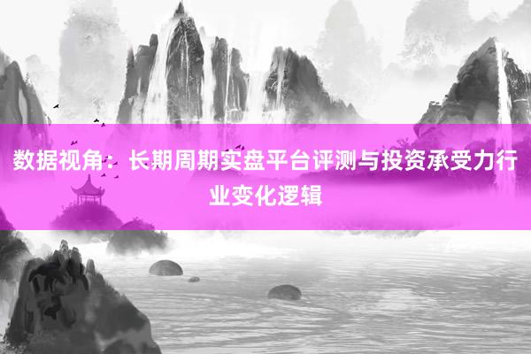 数据视角：长期周期实盘平台评测与投资承受力行业变化逻辑