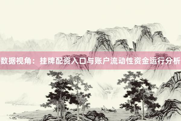 数据视角：挂牌配资入口与账户流动性资金运行分析