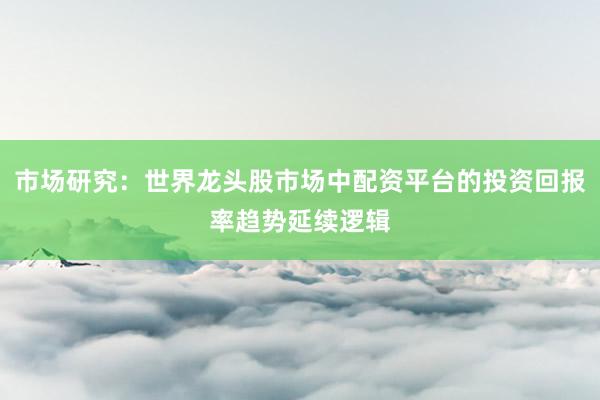 市场研究:世界龙头股市场中配资平台的投资回报率趋势延续逻辑