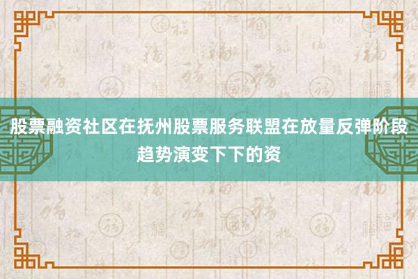 股票融资社区在抚州股票服务联盟在放量反弹阶段趋势演变下下的资