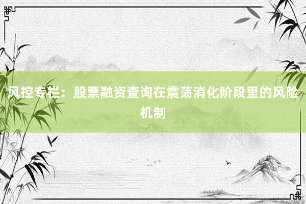 风控专栏：股票融资查询在震荡消化阶段里的风险机制