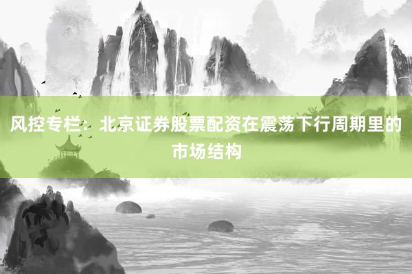 风控专栏:北京证券股票配资在震荡下行周期里的市场结构